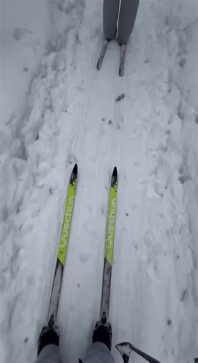 это мы катались во вторник в роще🤟#гарчани #кострома #20лицей #44 #крутые