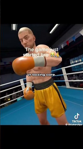 Vr boxing core.