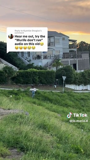 Chasing Dogs: The Funniest Moments in Barbados