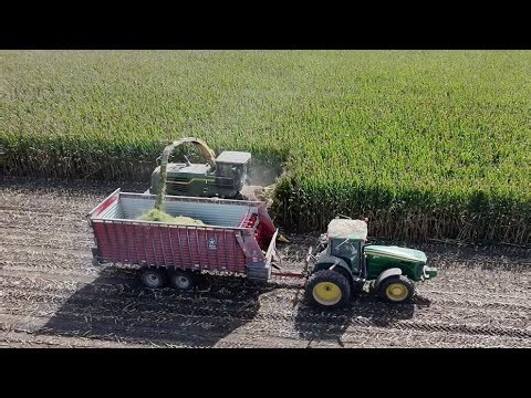 Custom chopping crew! Getting corn chopped in 4 days!