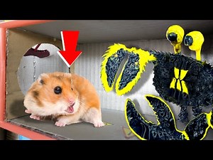 🐹Hamster Maze with TRAPS 😱[Obstacle Course with Traps Maze With Giant Crab]😱 + BONUS