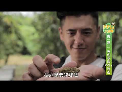 PPLs是什麼? 讓阿布帶你來場PPLs尋奇之旅- PPLs大追擊,台灣之光ppls超視王