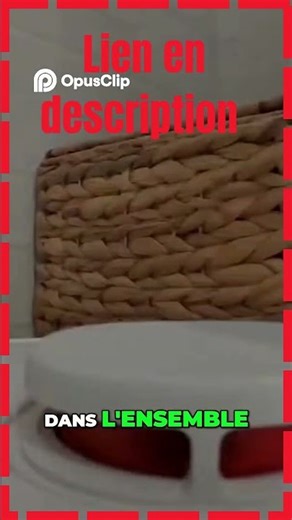 Découvrez le Robot Aspirateur et Ses Astuces de Nettoyage