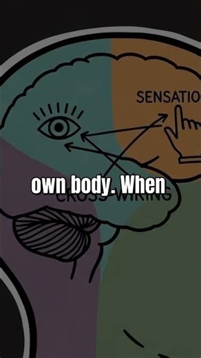 I Feel Your Pain Literally 🧠 Mirror-Touch Synesthesia #Shorts