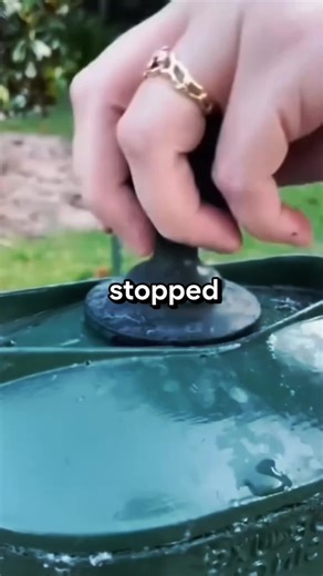 Exploring Engaging Reddit Questions for Insightful Learning