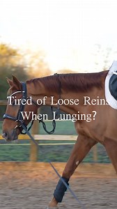 🛠️ Tack Hack Alert! 🐴✨ Tired of your reins moving even when threaded through the throat lash while lunging? 😩 Worried they might move too much and cause distractions? We've got a simple solution for you! 💡 Our Tack Hack: Use the velcro tabs on your saddle pad to securely hold your reins in place—no pressure, no contact, just perfect stability! 🙌 Would you try this The Saddle Bank Tack Hack? Let us know in the comments! 👇 #TheSaddleBank #TackHack #EquestrianLife #LungingTips #SaddleBank #Ho