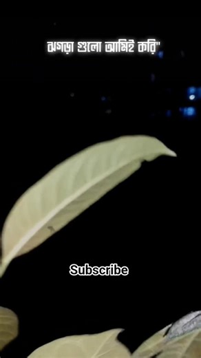 Satisfied sad status 💔 #candy #bangla #sadstatus #mother #foryou #unfrezzmyaccount #mention