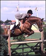 Boost for amateur working hunter riders - Horse & Hound