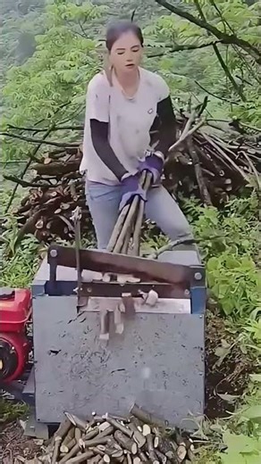 Workers Cut Firewood Efficiently Using Basic Tools