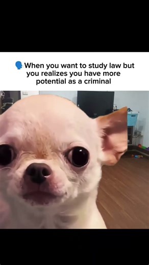 🙋🙋yeaahhhh🧐#collegememes #youtubeshorts #funnymemes