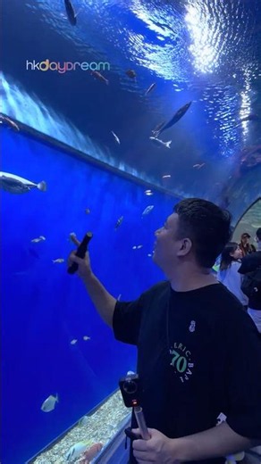 Underwater dreams. 🌊✨Aqua Gate - Japan Osaka Aquarium Kaiyukan