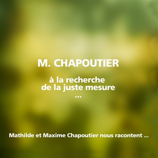 L’univers M. CHAPOUTIER on Instagram: "Mathilde et Maxime Chapoutier nous parlent de senteurs et d’émotions, mais de quoi s’agit-il ? M. CHAPOUTIER, à la recherche de la juste mesure … Restez connectés pour découvrir bientôt ce qui se cache derrière ces mots. *l’abus d’alcool est dangereux pour la santé, à consommer avec modération* ----------- Mathilde and Maxime Chapoutier talk to us about scents and emotions, but what does that mean? M. CHAPOUTIER, in search of the right balance... Stay tuned