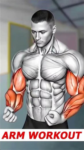 Back Workout for Maximum Lat and Upper Back Thickness | Build a Wider, Stronger, More Defined Back