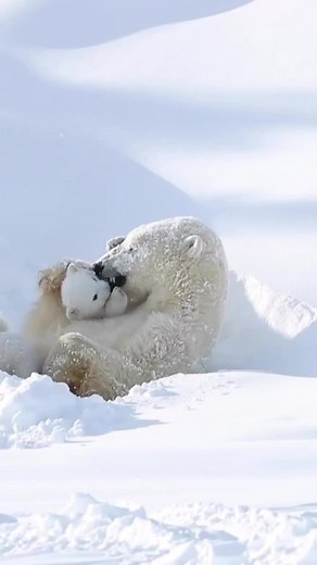 Captivating Wildlife Photography: A Glimpse of Nature's Splendor