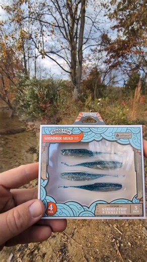 Unboxing & Rigging 10,000 Fish Shimmer Shad fishing lure