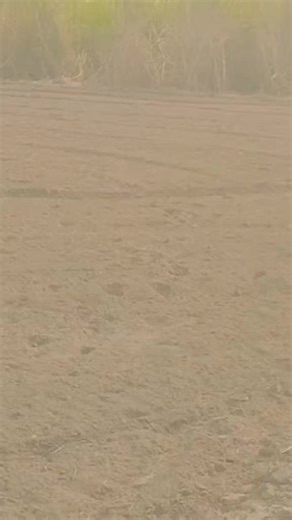 Teja Jee (@teja.jee)’s videos with original sound - Teja Jee