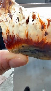 My First Flame Agate Cut—This Stuff Is CRAZY Inside!