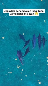 6.1K reactions · 64 shares | #reels #fyp @mention | Nasdir Brc | Facebook