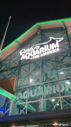 You have to be 21 for this event. This aquarium sleepover is worth the money in my opinion, because that includes the cost of your aquarium ticket for the next day! Also, pretty much any hotel in the area is going to be around the same price. #pintsandpenguins #ripleysaquarium #gatlinburgaquarium #aquariumsleepover