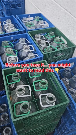 The cows are lowing, the market’s open, and we’re ready to see your smiling faces! If you’ve got empty milk bottles, bring them along and get $3.50 back per bottle. Let’s keep our bottles (and community) going ‘round! 💚 #FarmFreshMilk #ReturnYourBottles #MilkBottleDeposit #DrinkLocal #SustainableFarming #FarmToTable #SupportLocalFarms #FreshFromTheFarm | Miller Farms Market