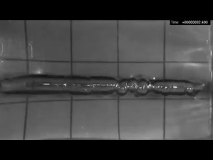 Comparison of Visual Dynamics in Ballistic Gelatin Between Lower- and Higher-Energy Bullets and Guns