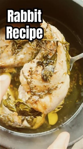 Slow cooked rabbit recipe