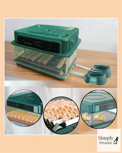 Automatic Rotating Bird Egg Incubator Temperature Control Humidity Control Multiple Size Chicken ...