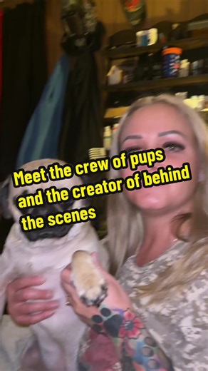 #fyp #dogsoftiktok #pugsoftiktok #puppy