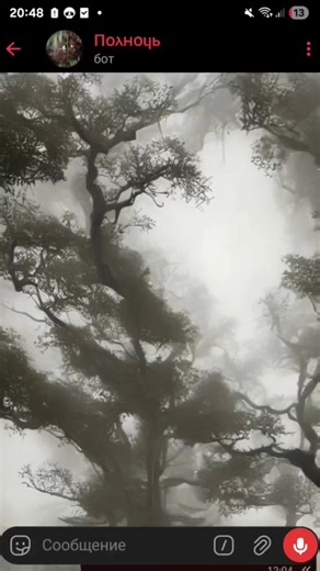 😎😎😎 @Midnight_in_the_woods_bot #ботподдержки #тг #полночь | warning bot