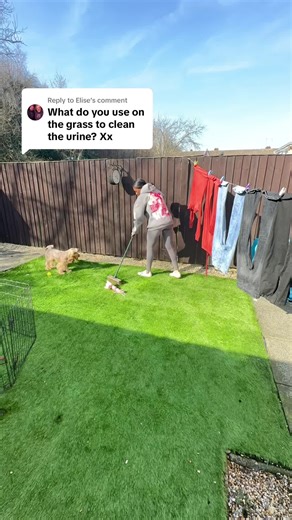 How to Clean Artificial Grass for Pet Owners