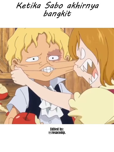 Sabo dan Pasukan Revolusi: Latihan Menuju Kebebasan