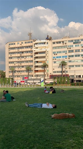 Dogs of Izmir: A Playful Look at Pet Videos