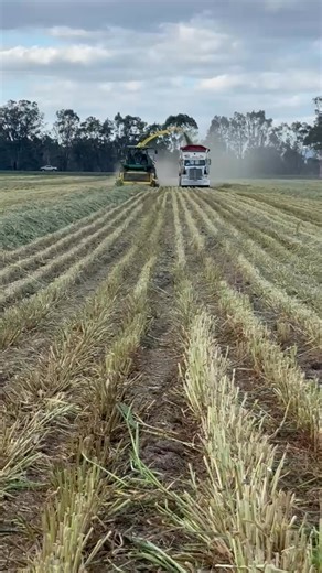 5.3K views · 87 reactions | The new chopper in action this spring silage Schofield Rural Contracting | Schofield's Hay & Silage | Facebook