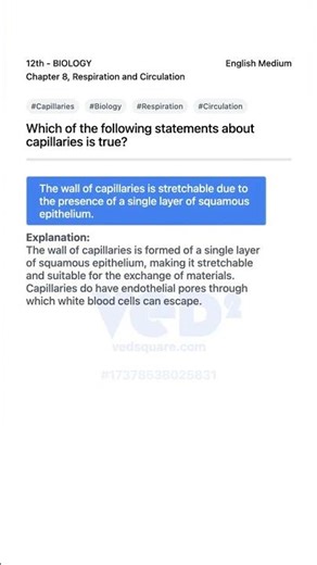 Capillaries Explained 12th Biology Respiration and Circulation