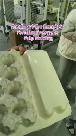 Sharing of complete forming process of pulp molding #pulpmoldingmachine #machine #pulpmolding