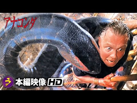 モンスターパニックホラー映画『アナコンダ』本編映像(丸ごと飲み込んだ - 最後のシーン)