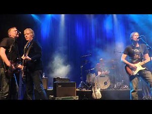 THE ODDS - Eat My Brain - LIVE