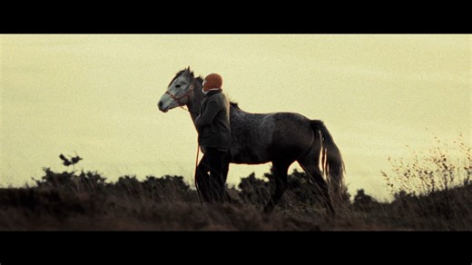 KNEECAP on Instagram: "We sent Próvaí off to the guys @micildistillery in Connemara to make some Poitín. Some job he did and all. We’ve taken their Connemara poitin and rested it in empty oak casks seasoned with Kneecap’s favourite tonic wine made by monks. This limited edition naggin celebrates the Irish language, cross-cultural creativity, and a shared love of acting the boll*x. Limited to just 1,200 naggins. On sale this Friday 12th at 1pm exclusively at micildistillery.com "At McIlhatton's h