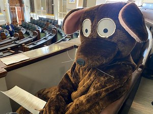 From rodent costumes to rats the size of cats - Five defining moments in bins strike as grim milestone reached