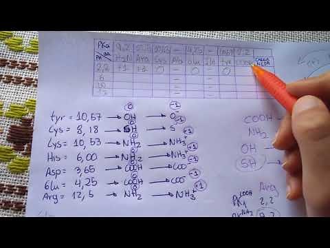 Cálculo de la carga neta de un péptido y punto isoelectrico. Bioquímica