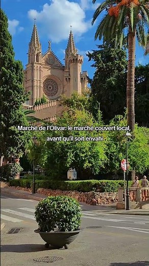 Palma en 1 journée : l'itinéraire complet par quelqu'un qui vit ici depuis 8 ans 🌴