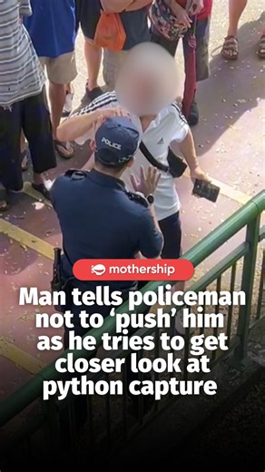 101K views · 357 reactions | The public is advised to observe from a safe distance and back away slowly when encountering reticulated pythons in urban areas. | Mothership | Facebook