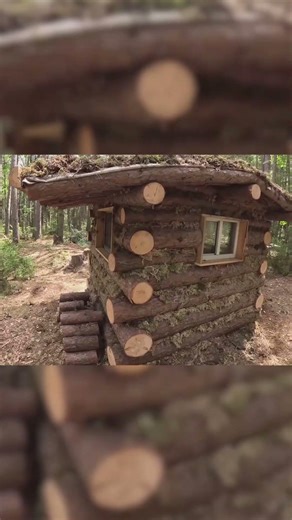 Will My Cabin Be Bear Proof?