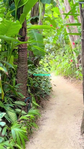 #SecretBeach 🫶🏻