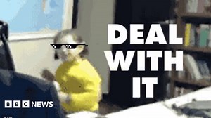 Babies videobomb dad's live TV interview and a boss's gender-swapping experiment