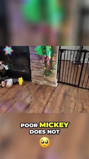 Elf On The Shelf ATE The GRINCH MEAL!