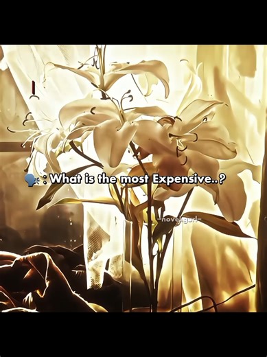 The Cost of Luxury: Why Expensive Isn't Always Better