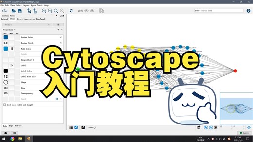 cytoscape入门教程