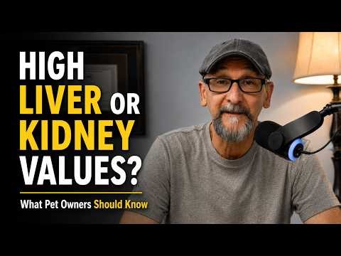 High Liver or Kidney Values in Pets? Stay Calm and Know What to Ask Your Vet