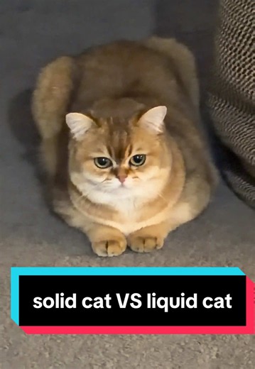 MGS: Twin Snakes Showdown — Team Solid or Team Liquid?
